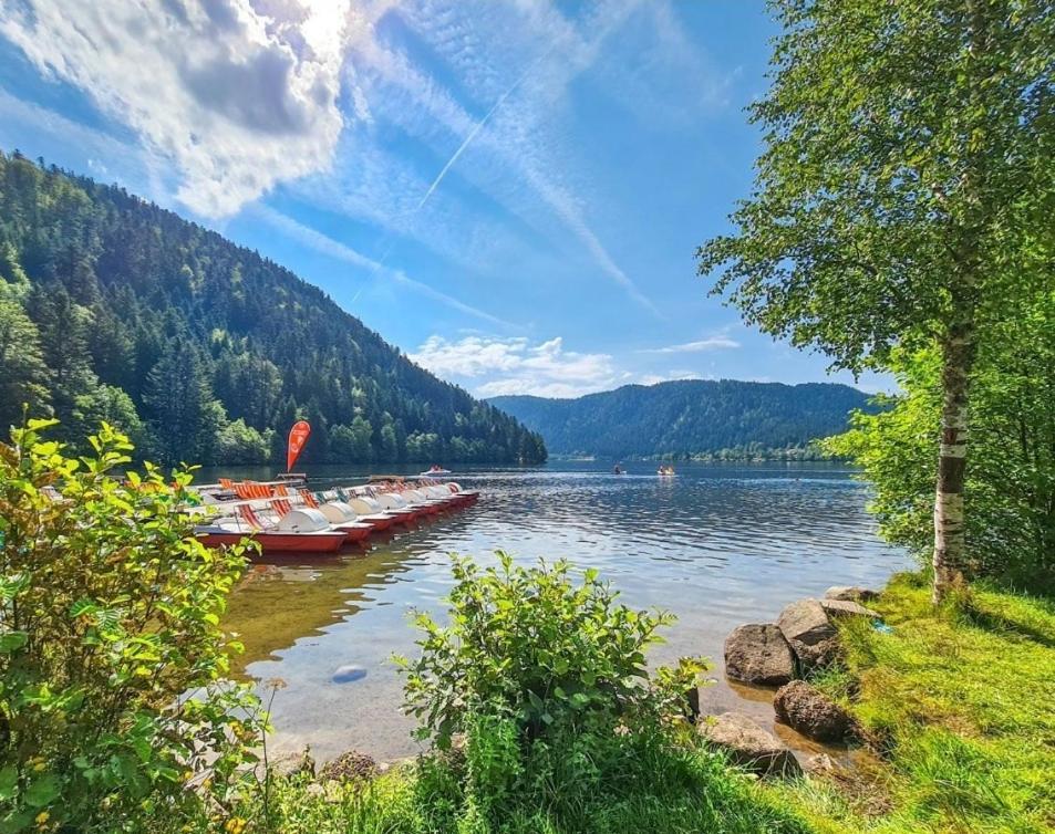 Gite Spa "La Foret Argentee" Proche Gerardmer Laveline-du-Houx 외부 사진
