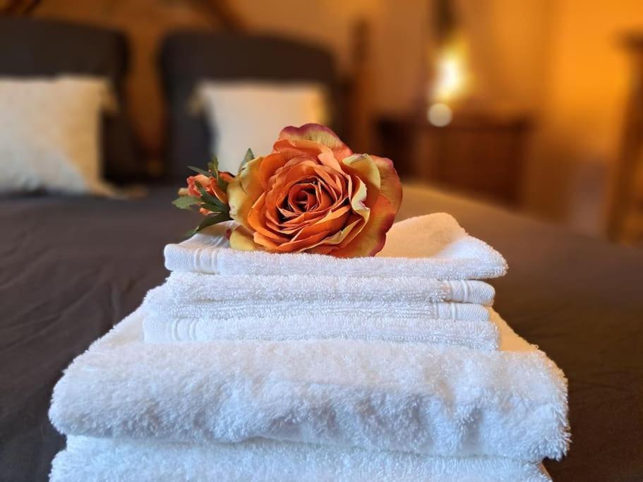 Gite Spa "La Foret Argentee" Proche Gerardmer Laveline-du-Houx 외부 사진