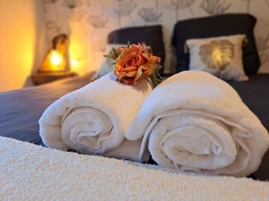 Gite Spa "La Foret Argentee" Proche Gerardmer Laveline-du-Houx 외부 사진