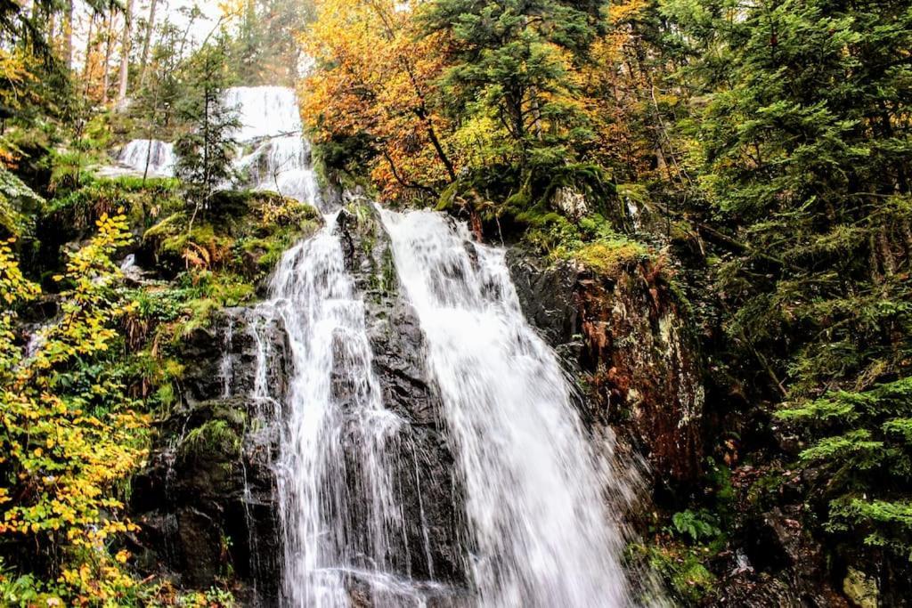 Gite Spa "La Foret Argentee" Proche Gerardmer Laveline-du-Houx 외부 사진